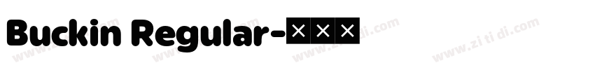 Buckin Regular字体转换